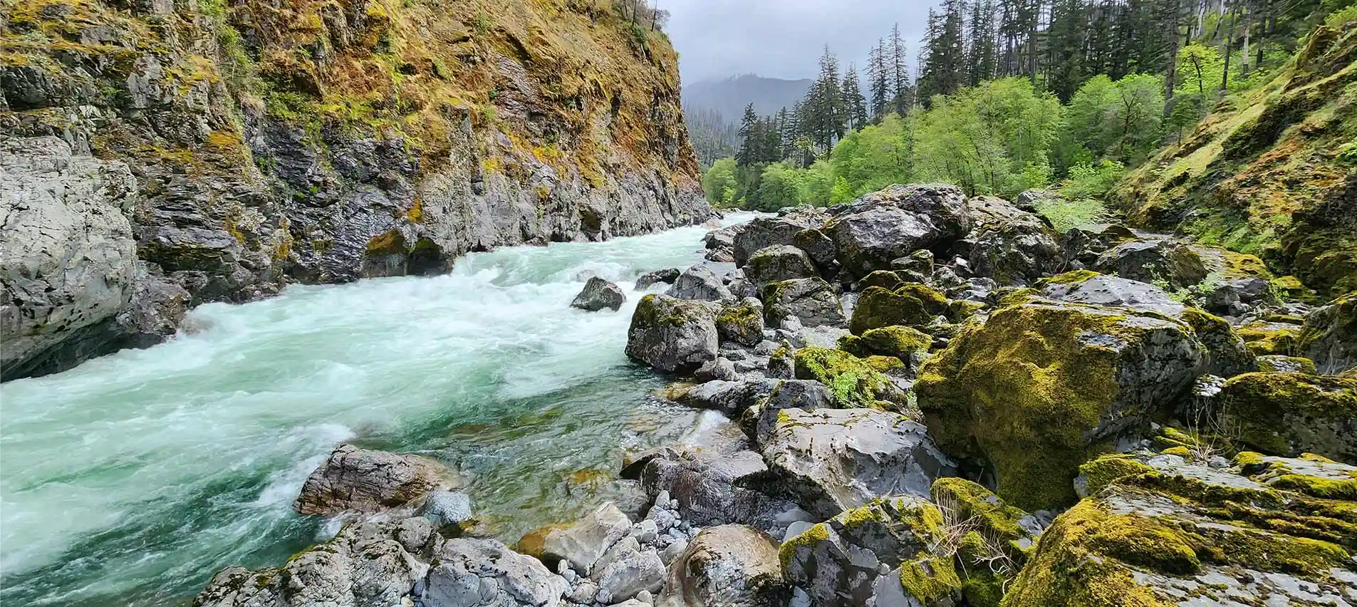 flowing-green-river Beautiful green and white river flowing through mossy rocks and boulders.